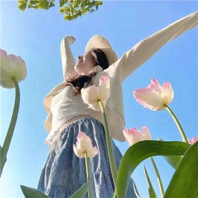 恋恋飞翔