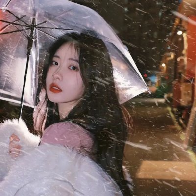 莫莉计划